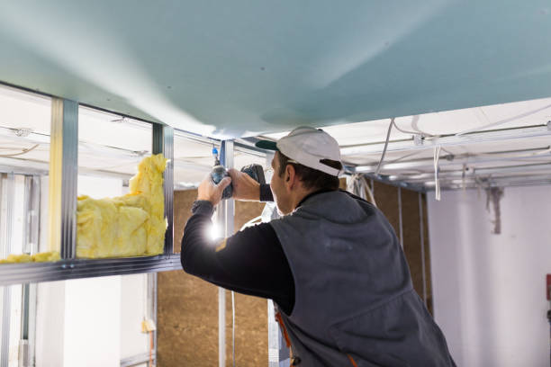 Best Insulation for Specific Applications in Fern Acres, HI