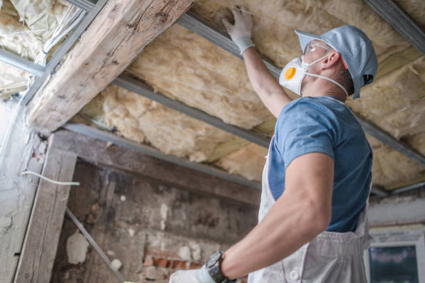 Best Geographic-Specific Insulation Services in Fern Acres, HI