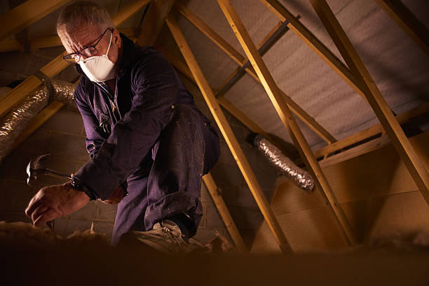 Best Insulation Maintenance and Repair in Fern Acres, HI