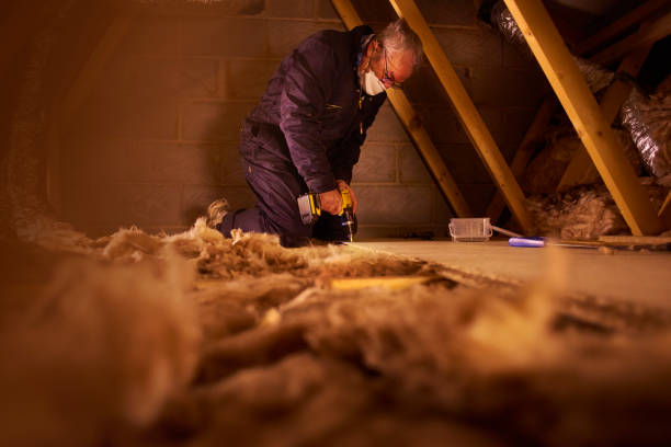 Best Blown-in Insulation in Fern Acres, HI